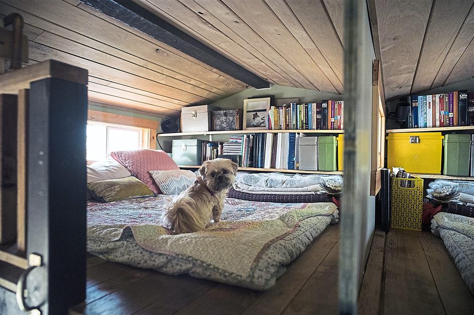 Brinkley guarding the sleeping area.